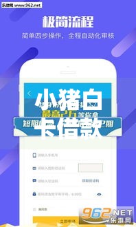 小猪白卡借款口子靠谱吗？真实测评+避坑指南！这些细节要注意