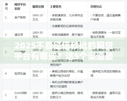 2025不看征信秒批的网贷平台有哪些？这5个渠道最靠谱！