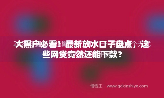 大黑户必看！最新放水口子盘点，这些网贷竟然还能下款？