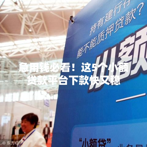 急用钱必看！这5个小额贷款平台下款快又稳