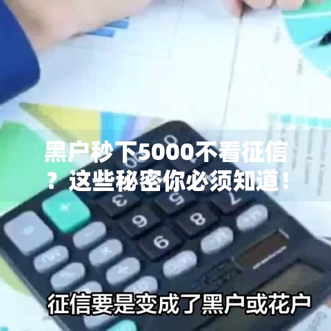 黑户秒下5000不看征信？这些秘密你必须知道！