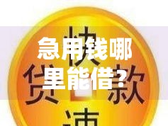 急用钱哪里能借？短期应急贷款渠道深度解析