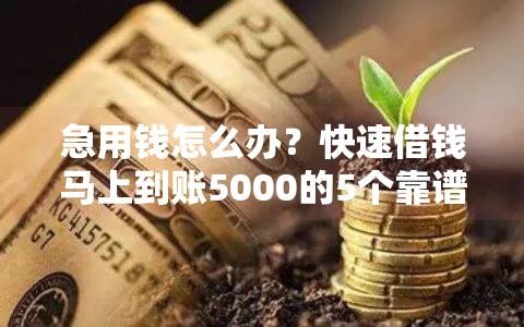 急用钱怎么办？快速借钱马上到账5000的5个靠谱推荐！