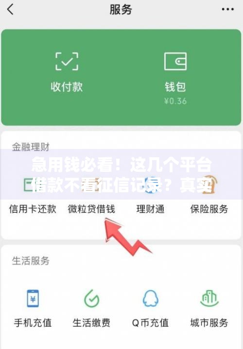 急用钱必看!这几个平台借款不看征信记录?真实体验分享 急用钱必看!这几个平台借款不看征信记录?真实体验分享