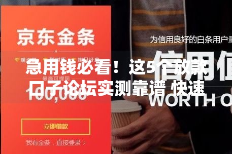 急用钱必看！这5个放款口子论坛实测靠谱 快速下款避坑指南