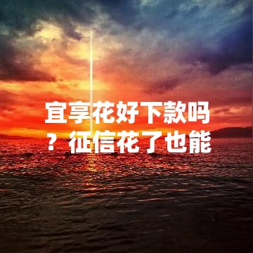 宜享花好下款吗？征信花了也能下款？实测解析这几个关键点！
