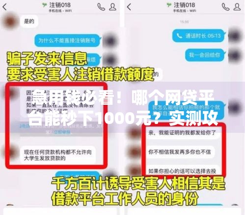 急用钱必看！哪个网贷平台能秒下1000元？实测攻略+避坑指南