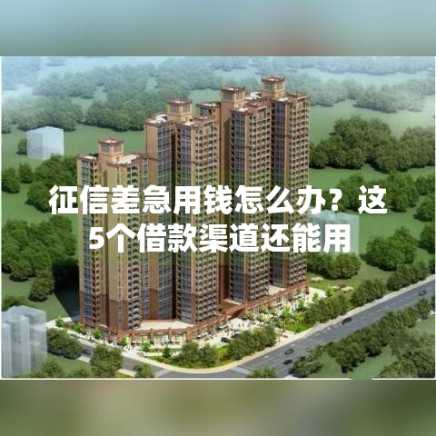 征信差急用钱怎么办？这5个借款渠道还能用