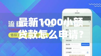 最新1000小额贷款怎么申请?急用钱必看的低息网贷攻略 最新1000小额贷款怎么申请?急用钱必看的低息网贷攻略