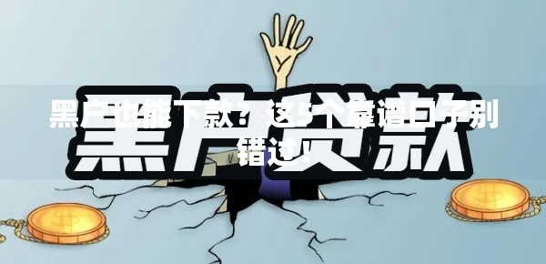黑户也能下款？这5个靠谱口子别错过！