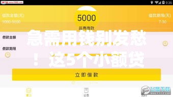 急需用钱别发愁！这5个小额贷款最快10分钟到账