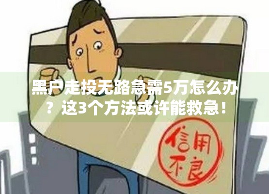 黑户走投无路急需5万怎么办？这3个方法或许能救急！