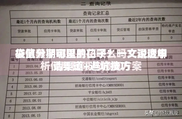袋鼠分期哪里的口子？一文说透申请渠道+避坑技巧
