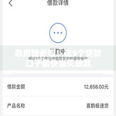 急用钱必看！这5个贷款口子最快当天放款