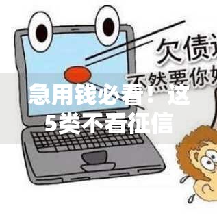 急用钱必看！这5类不看征信的网贷到底靠不靠谱？