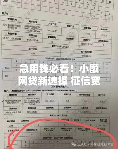 急用钱必看！小额网贷新选择 征信宽松秒到账攻略