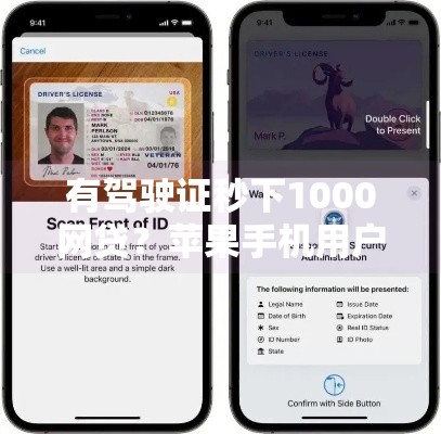 有驾驶证秒下1000网贷？苹果手机用户专属通道实测解析