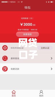 网贷口子直接秒下款？这5个技巧助你快速到账