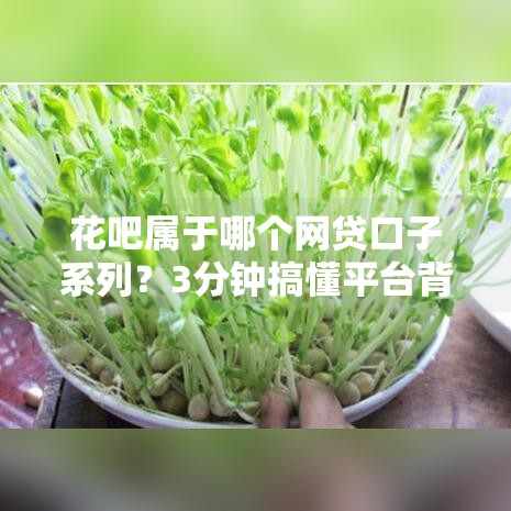 花吧属于哪个网贷口子系列？3分钟搞懂平台背景和申请攻略