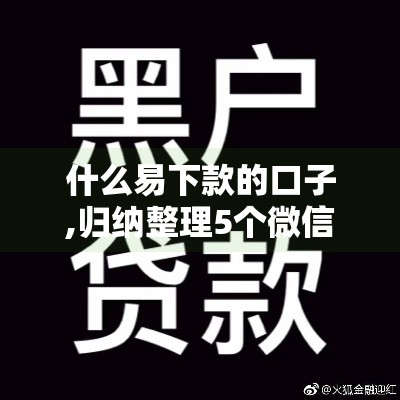 什么易下款的口子,归纳整理5个微信黑户口子群