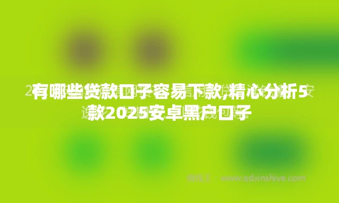 有哪些贷款口子容易下款,精心分析5款2025安卓黑户口子
