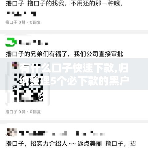 有什么口子快速下款,归纳整理5个必下款的黑户口子
