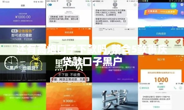 还有高炮口子下款吗,整合5款重庆贷款口子黑户