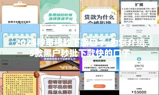 2025秒审核秒下款口子,为您介绍5款黑户秒批下款快的口子