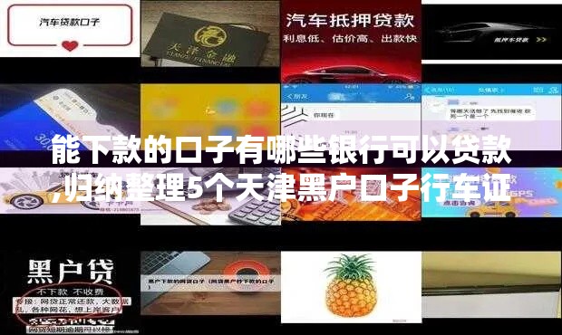 能下款的口子有哪些银行可以贷款,归纳整理5个天津黑户口子行车证贷款