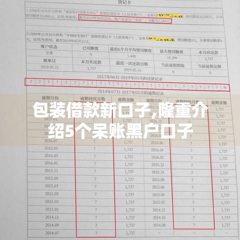 包装借款新口子,隆重介绍5个呆账黑户口子