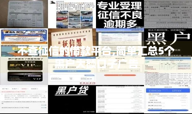 不查征信的借款平台,简单汇总5个黑户大额口子广告