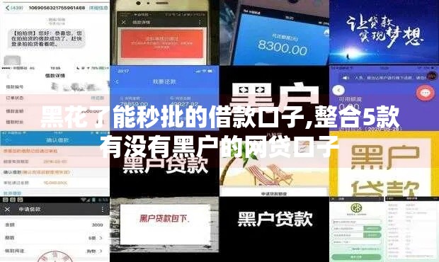 黑花了能秒批的借款口子,整合5款有没有黑户的网贷口子