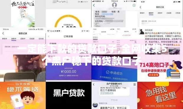 一定能下款的贷款口子,全网收集5个黑户稳下的贷款口子