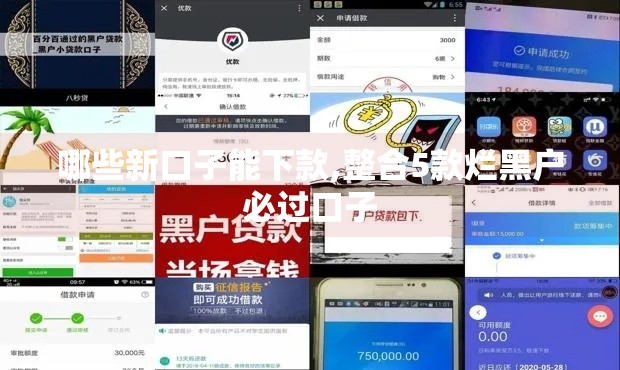 哪些新口子能下款,整合5款烂黑户必过口子