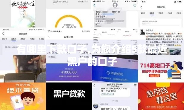 有哪里下款口子,为您介绍5款最近黑户的口子