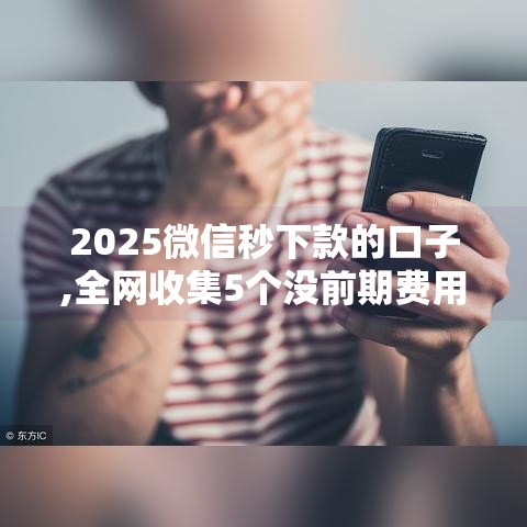 2025微信秒下款的口子,全网收集5个没前期费用的黑户口子