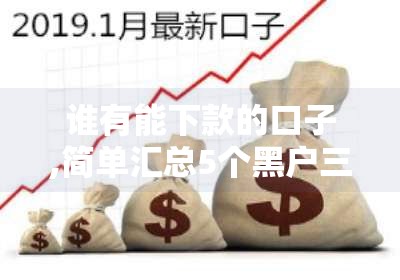谁有能下款的口子,简单汇总5个黑户三十天口子