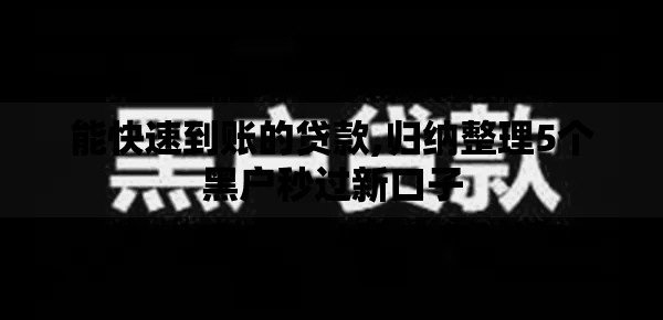 能快速到账的贷款,归纳整理5个黑户秒过新口子