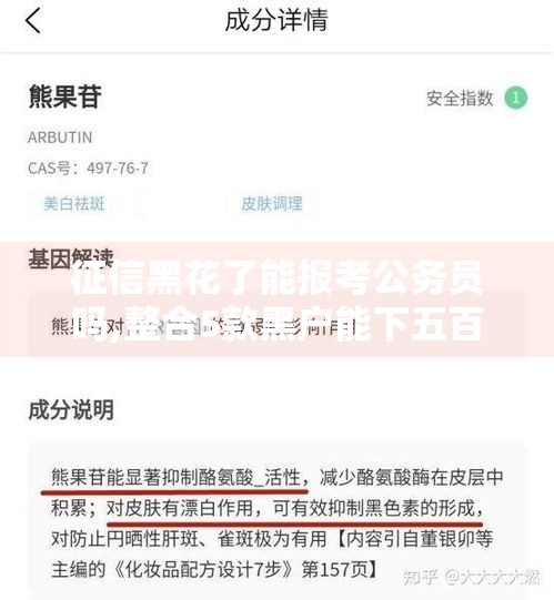 征信黑花了能报考公务员吗,整合5款黑户能下五百元的口子