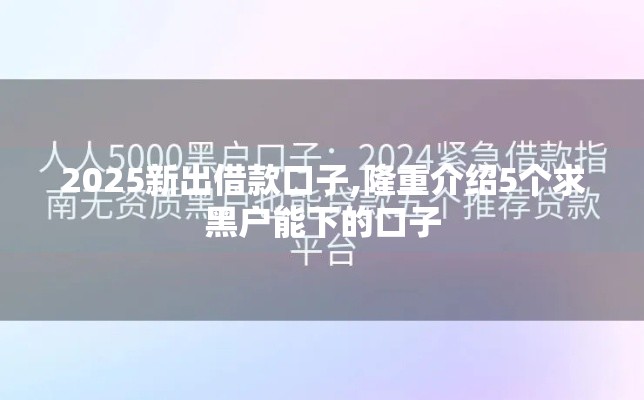 2025新出借款口子,隆重介绍5个求黑户能下的口子