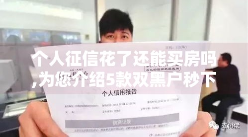 个人征信花了还能买房吗,为您介绍5款双黑户秒下一千口子