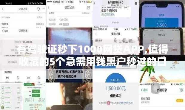 有驾驶证秒下1000网贷APP,值得收藏的5个急需用钱黑户秒过的口子