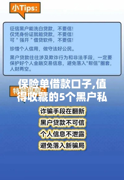 保险单借款口子,值得收藏的5个黑户私贷口子