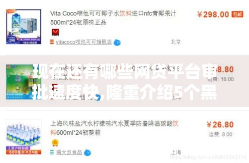 现在还有哪些网贷平台审批速度快,隆重介绍5个黑户贷负债1万2的口子