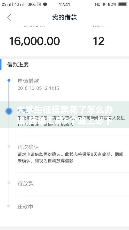 大学生征信黑花了怎么办理,简单汇总5个晚上必下款的黑户口子