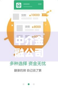 中介金融公司借款口子,归纳整理5个有黑户秒下款的口子