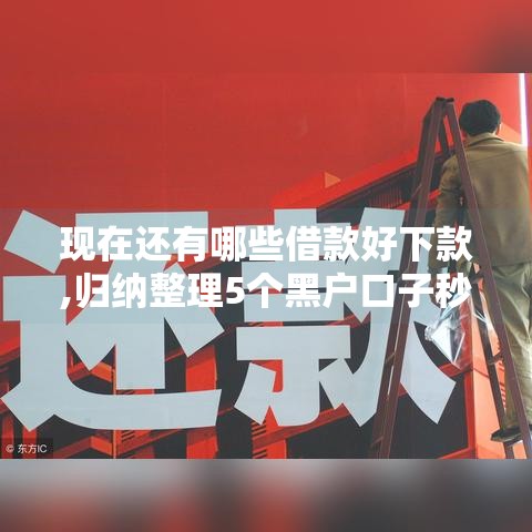 现在还有哪些借款好下款,归纳整理5个黑户口子秒下2025