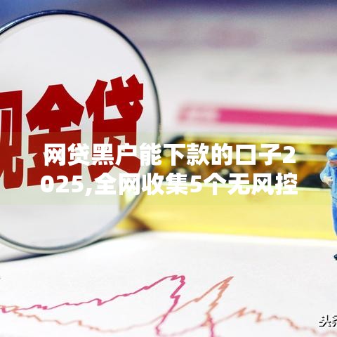 网贷黑户能下款的口子2025,全网收集5个无风控黑户能下款的口子