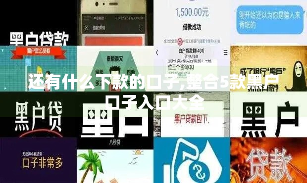还有什么下款的口子,整合5款黑户口子入口大全