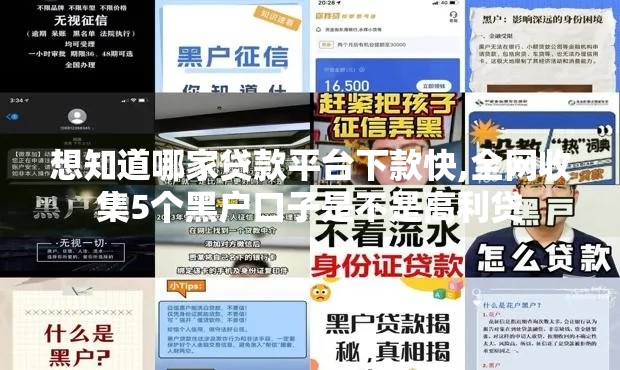 想知道哪家贷款平台下款快,全网收集5个黑户口子是不是高利贷